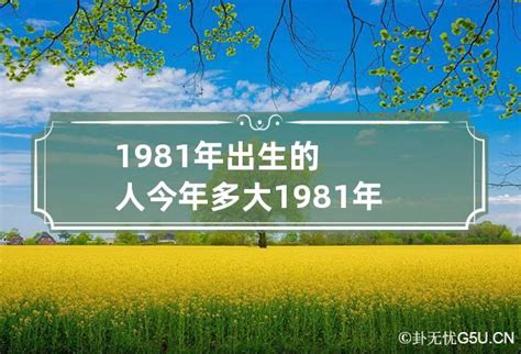 1981出生|1981年出生今年多大